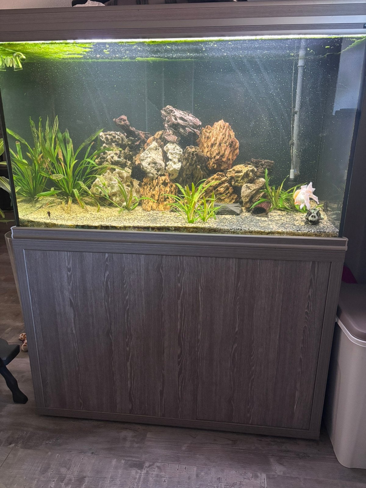 Groot aquarium met vele extra’s, Ophalen of Verzenden, Zo goed als nieuw, Leeg aquarium