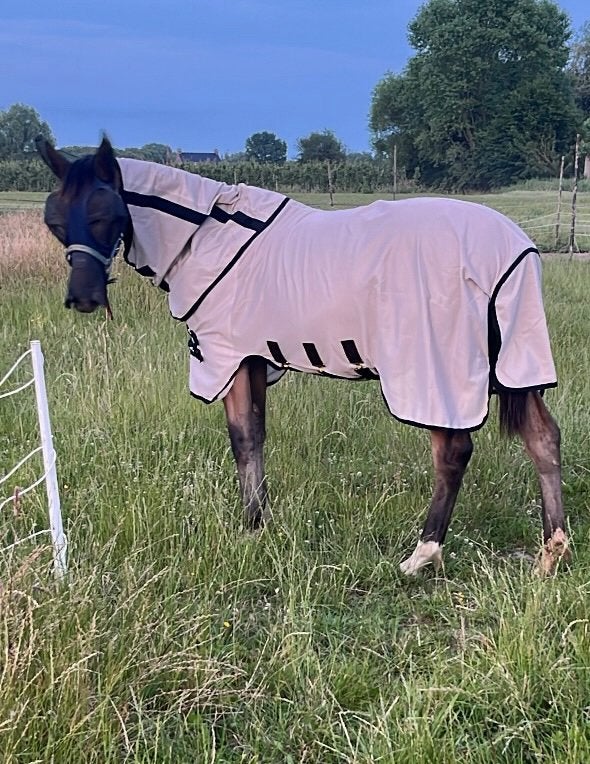 Kentucky vliegendeken maat 183/130, Dieren en Toebehoren, Paarden en Pony's | Dekens en Dekjes, Gebruikt, 0 g, Vliegendeken, Ophalen of Verzenden