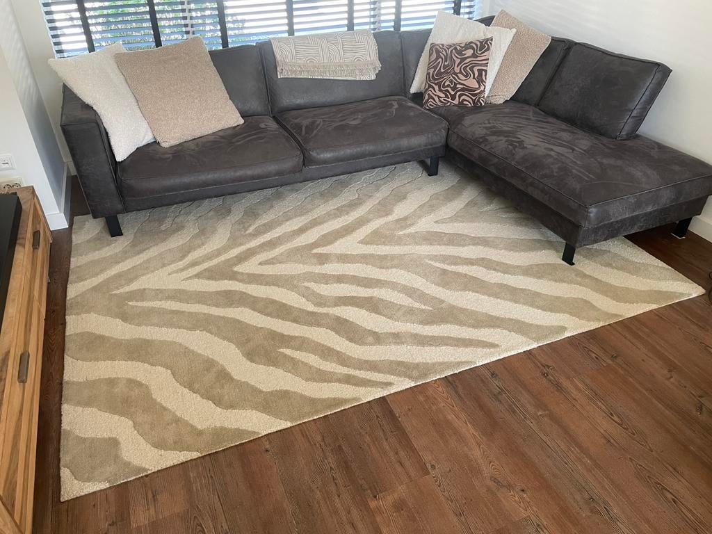 Vloerkleed, Beige, Overige typen, Ophalen of Verzenden, Zo goed als nieuw