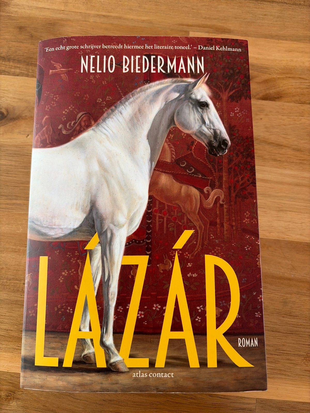 Lázár - Roman door Nelio Biedermann, Ophalen of Verzenden, Zo goed als nieuw, Nederland