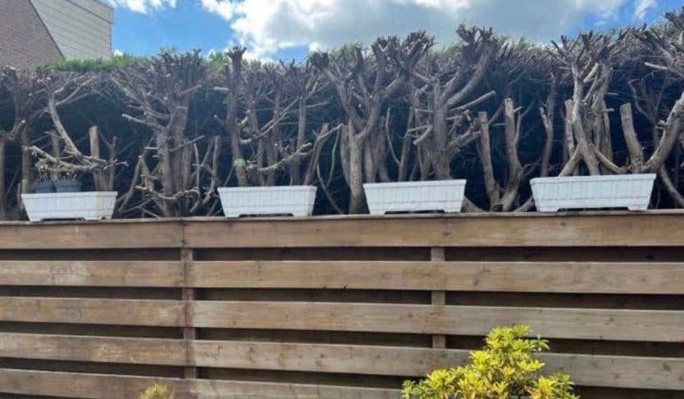 Witte betonnen bloembakken, Tuin en Terras, Palen, Balken en Planken, Ophalen, Zo goed als nieuw, Minder dan 180 cm, Palen