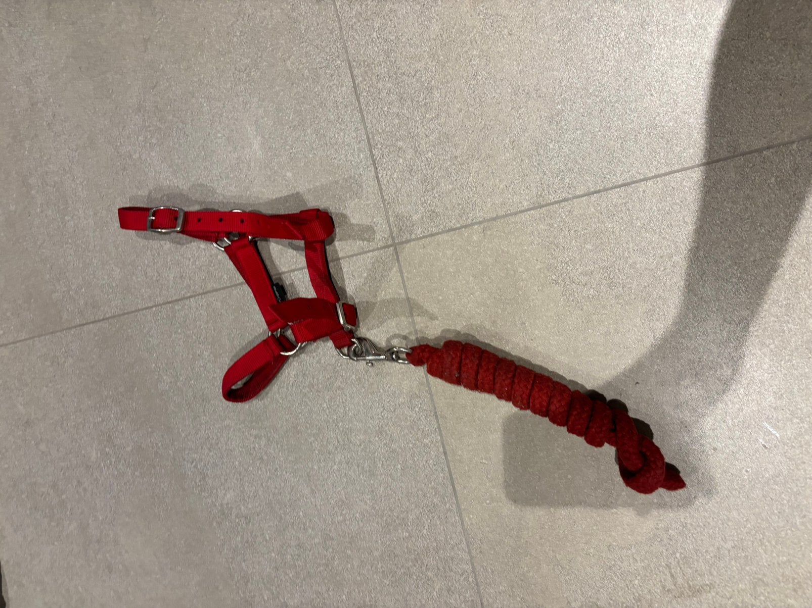 Mini shetlander halster rood, Zo goed als nieuw, Halster, Rood, Inclusief touw