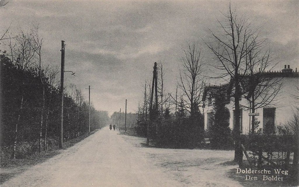 703-302-043 Doldersche Weg Den Dolder, Ophalen of Verzenden, Voor 1920, Utrecht