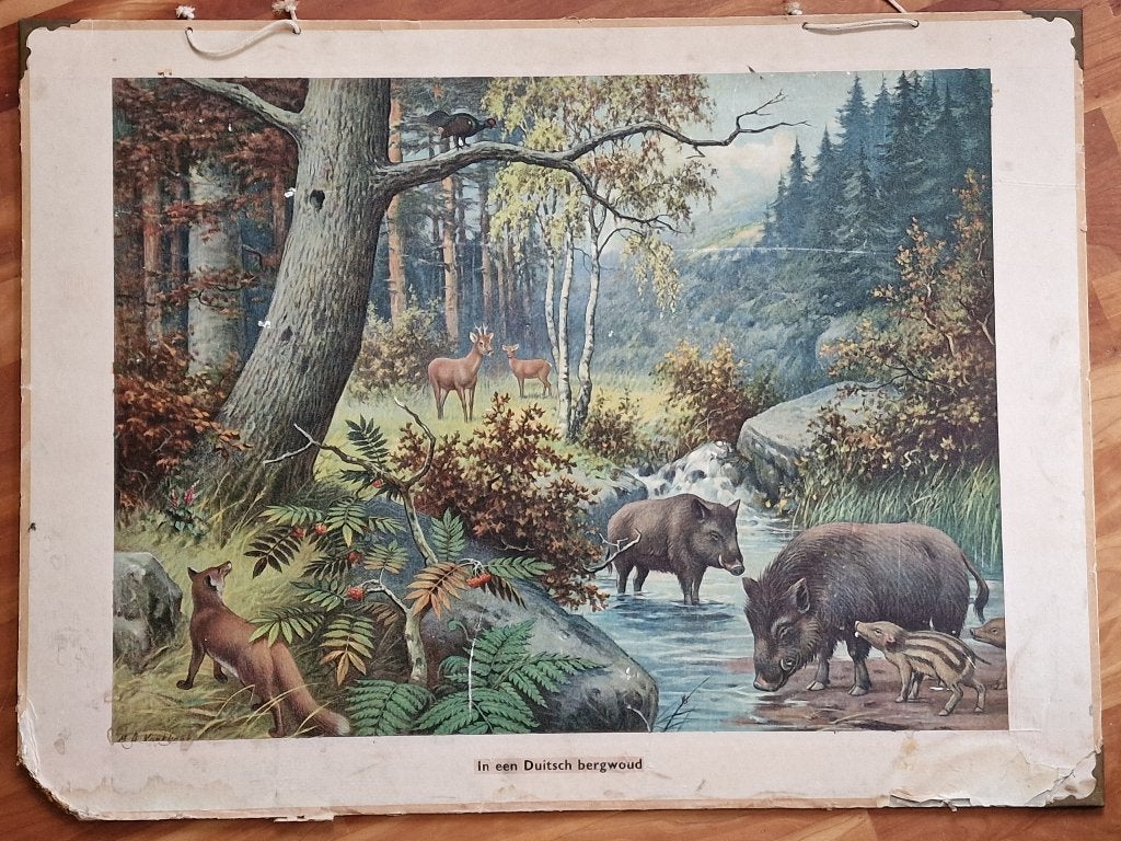 In een Duitsch bergwoud / M.A. Koekkoek, Ophalen, Geschiedenis