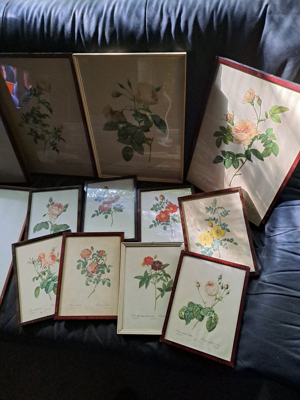 Set van 13 grote en 8 kleine rozenprints van Redoute, Ophalen, Minder dan 50 cm, Gebruikt, Print