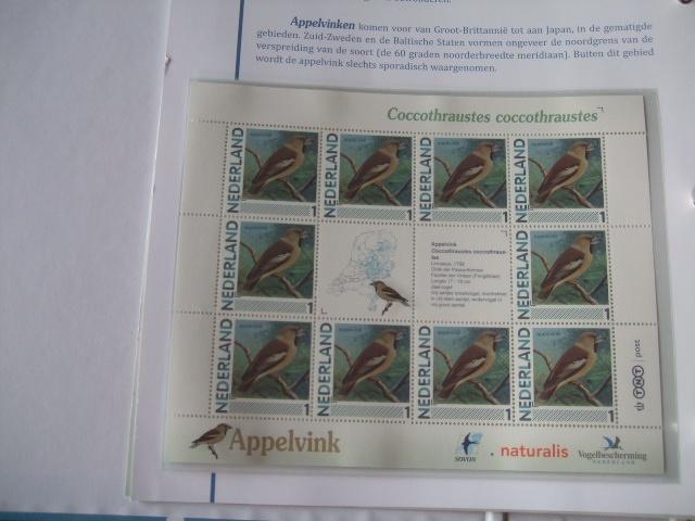 Ned. Vel vogels Appelvink, Verzenden, Dier of Natuur