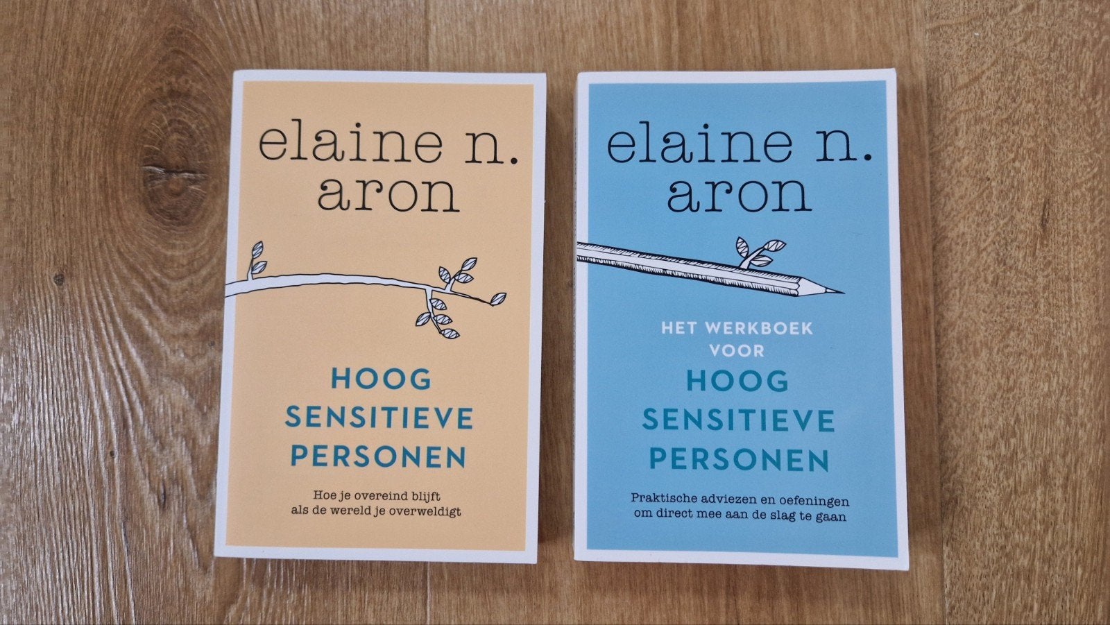 2x boeken over hoogsensitiviteit van Elaine Aron, Ophalen of Verzenden, Zo goed als nieuw