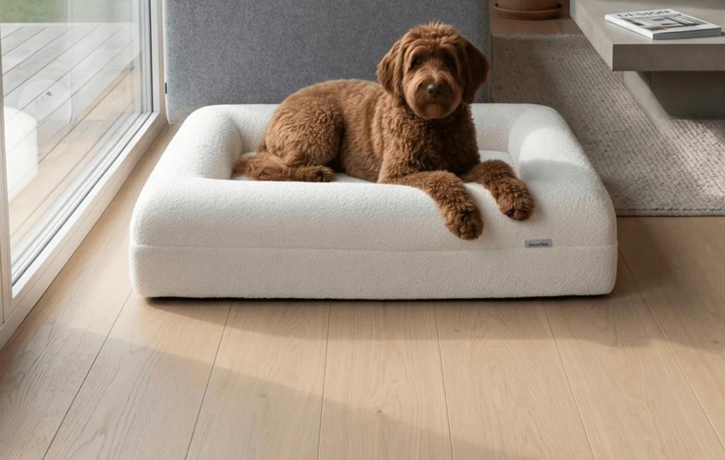 Wit bouclé hondenbed dreamydog L nieuw 115x90x20, Ophalen of Verzenden, Nieuw, Stof