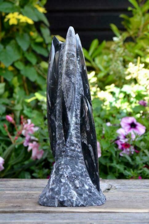 Orthoceras sculptuur (nr. 4), Ophalen of Verzenden, Fossiel
