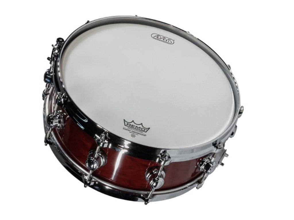 Snare Adams 8000 Dpresent Serie 14 x 5 Maple Hout, Muziek en Instrumenten, Percussie, -, -, Nieuw, Ophalen of Verzenden