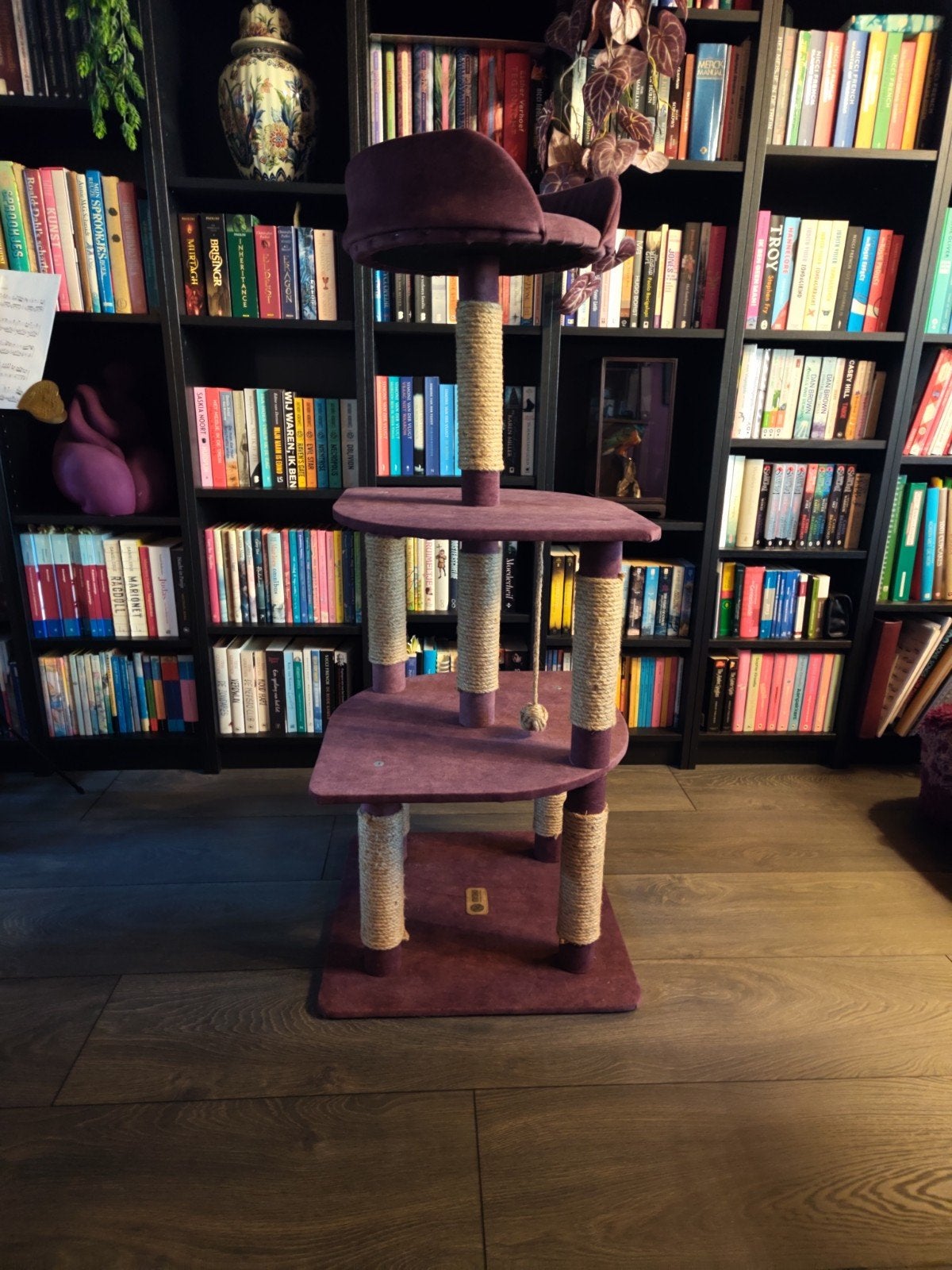 Stijlvolle bordeaux kattentoren – compact & comfortabel, Ophalen