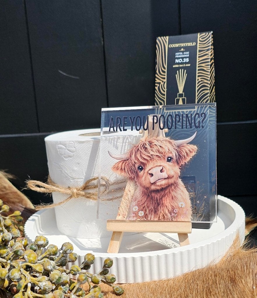 Toilet Cadeauset – Schotse Hooglander, Meerkleurig, Overige materialen, Nieuw, Ophalen of Verzenden