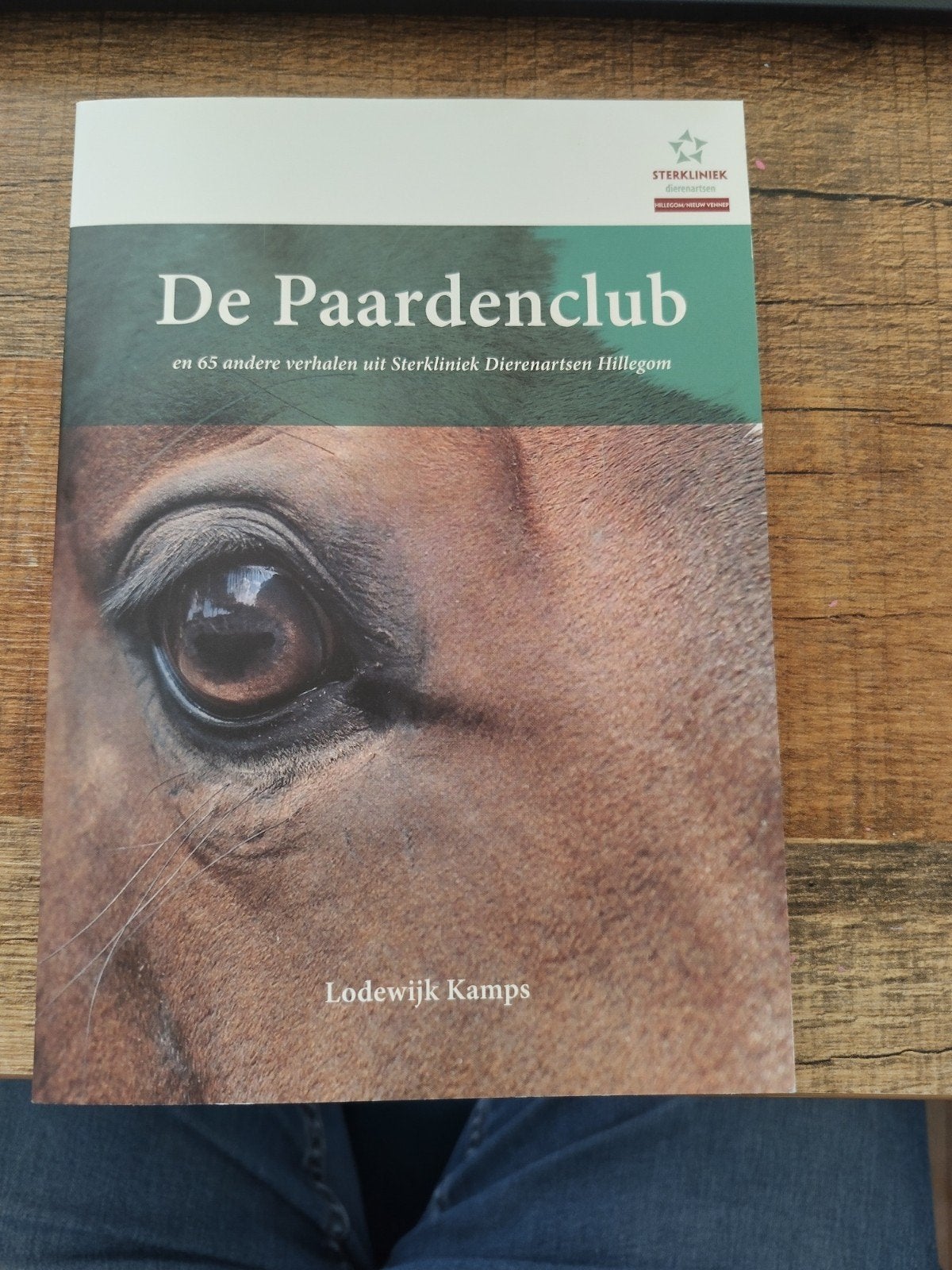 De paardenclub Lodewijk Kamps isbn9789082638806 nieuw, Ophalen of Verzenden, Nieuw
