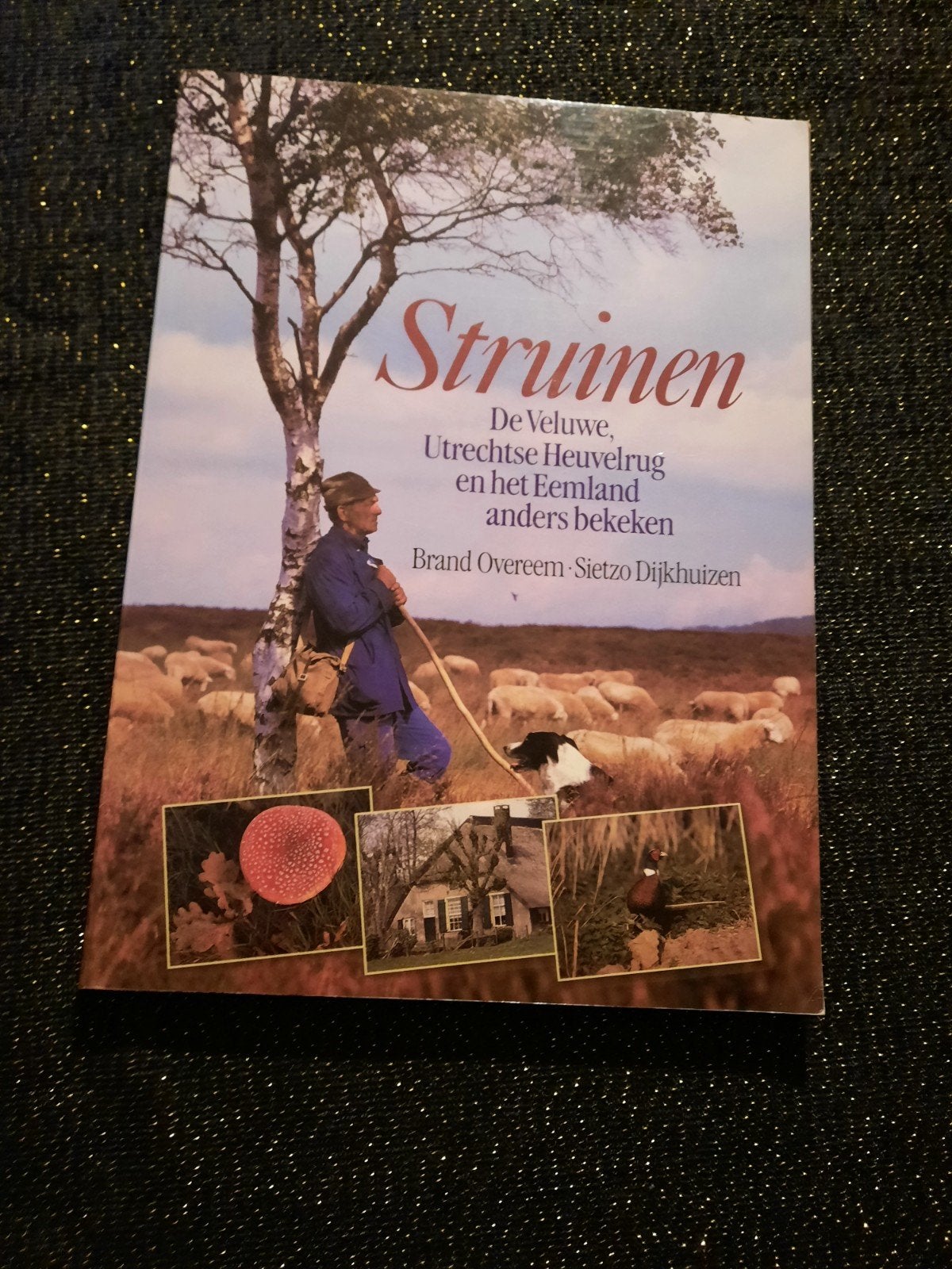 Struinen: Veluwe, Utrechtse Heuvelrug, Eemland - Natuurboek, Ophalen of Verzenden, Zo goed als nieuw, Wandel- of Recreatiegebieden