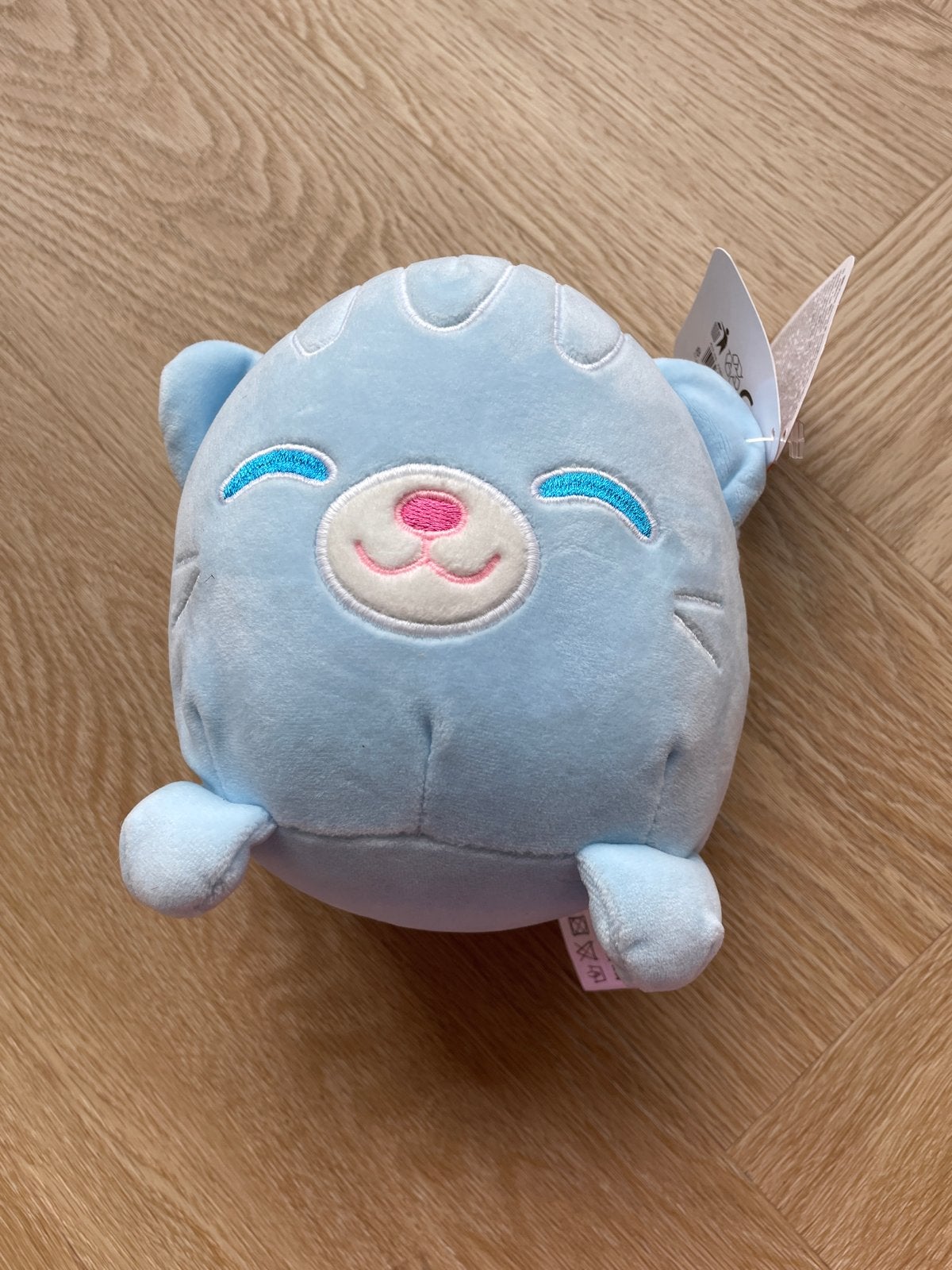 Toi-Toys Glow in the Dark Kat Knuffel - Nieuw, Overige merken, Overige karakters, Blauw, Nieuw