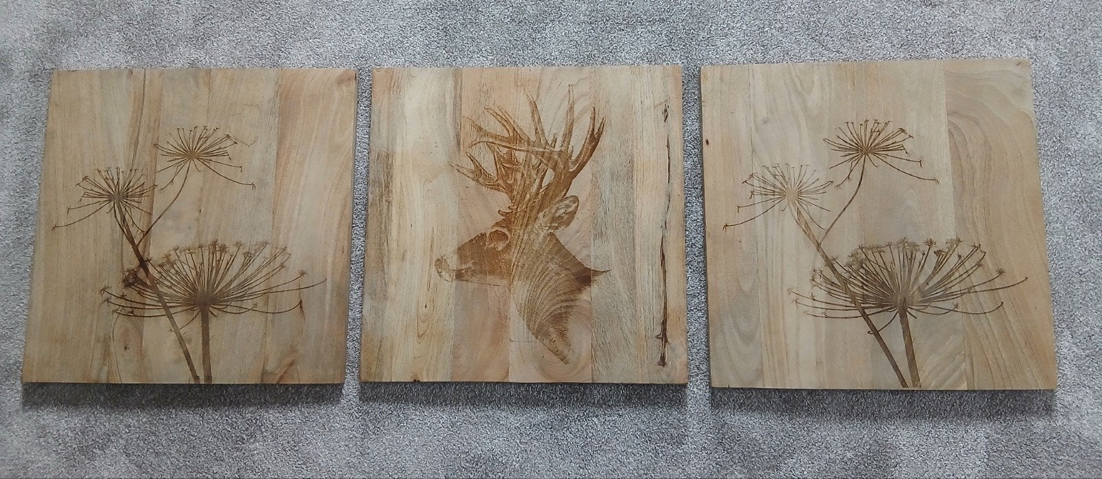 3 zeldzame houten schilderijen met ingebrande motiev, Antiek en Kunst, Kunst | Schilderijen | Klassiek, Ophalen of Verzenden