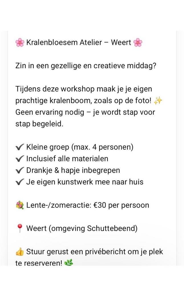 Workshop kralen bloesem, Ophalen of Verzenden, Nieuw, Meerdere media, Kunst en Creatief