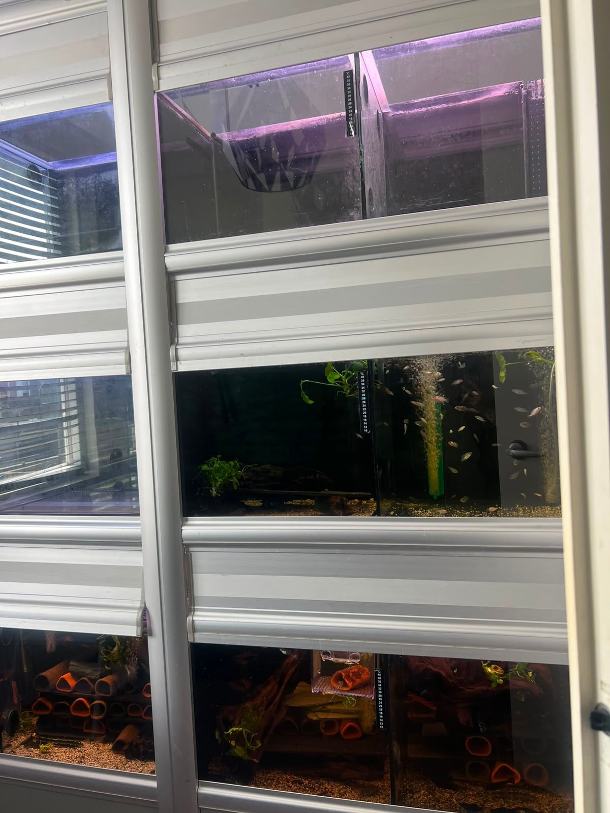Compleet kweekstelling 2M, Ophalen, Zo goed als nieuw, Leeg aquarium