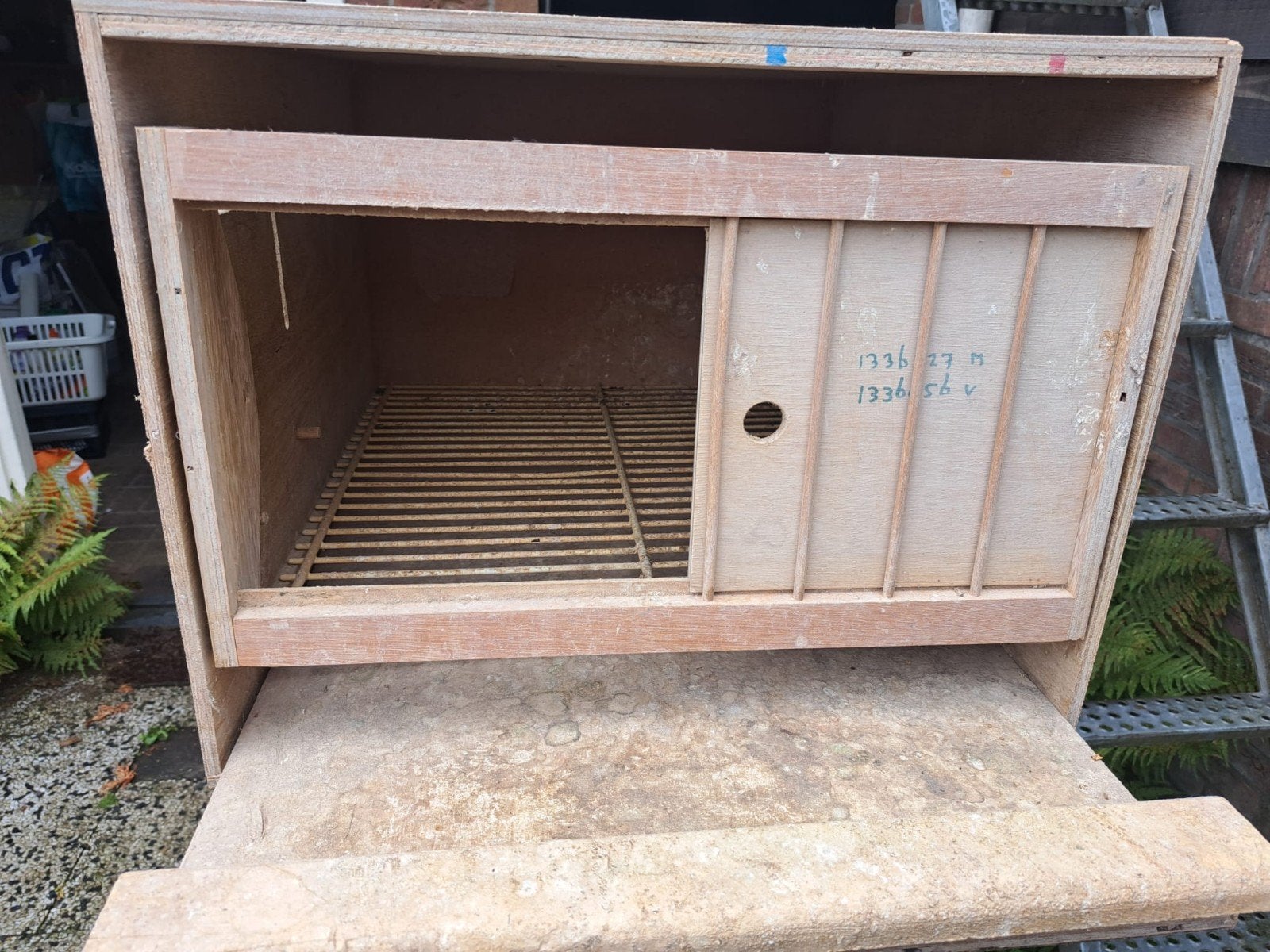 Te koop 12 broedhokken Duiven, Dieren en Toebehoren, Vogels | Duiven, Meerdere dieren, Postduif
