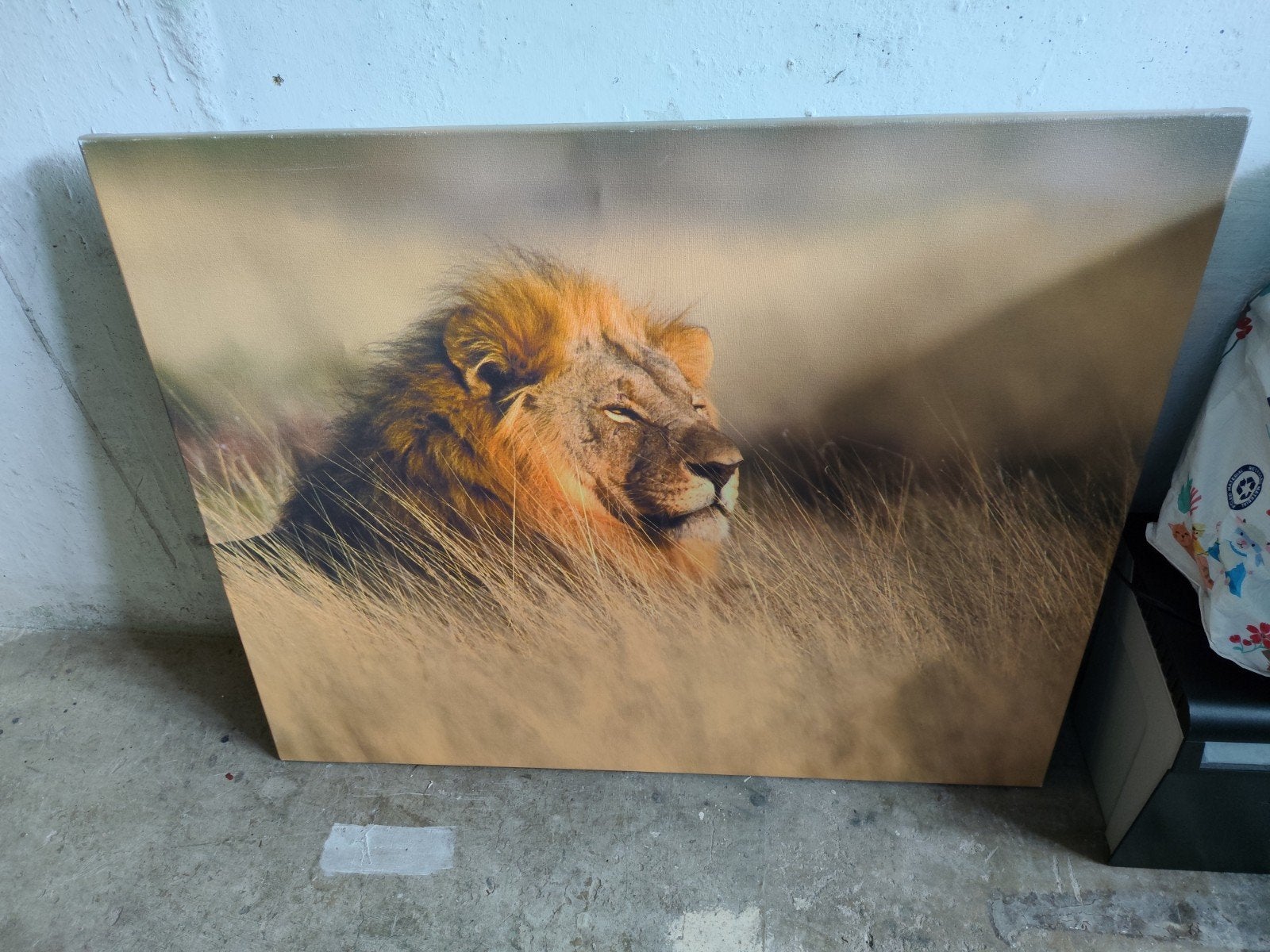 Groot canvas schilderij: majestueuze leeuw in de savanne, Huis en Inrichting, Woonaccessoires | Schilderijen, Tekeningen en Foto's