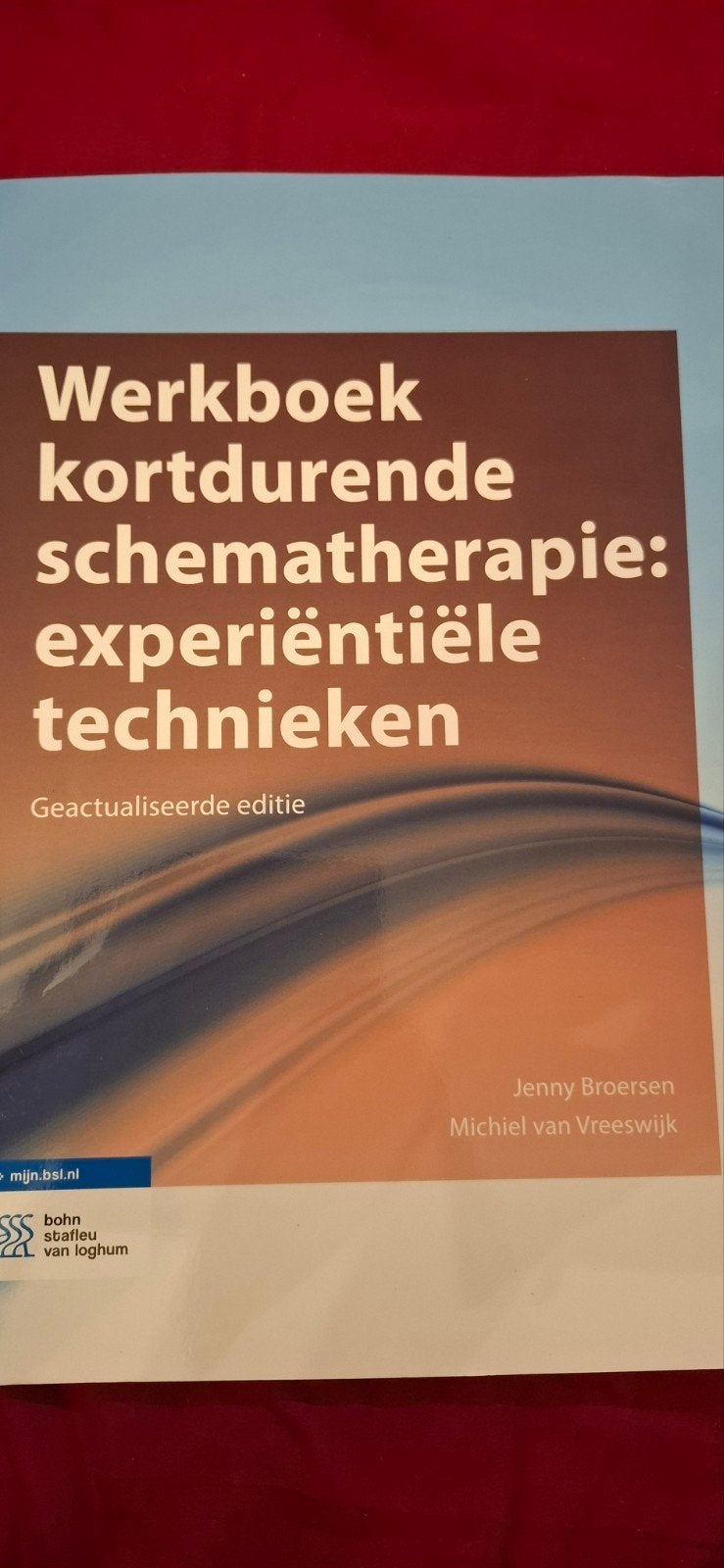 Werkboek kortdurende schematherapie, Boeken, Zo goed als nieuw, Gamma, Jenny Broersen, Michiel van Vreeswijk, HBO