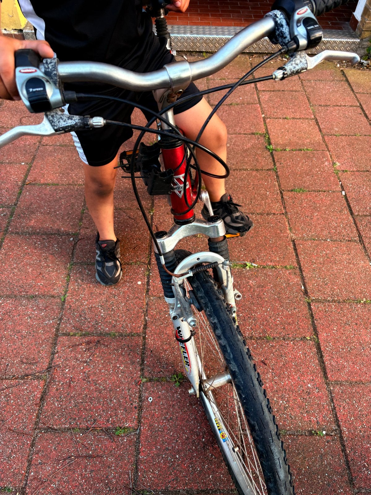 Rode mountainbike met vering - Wheeler, Gebruikt, Hardtail, 53 tot 57 cm, Ophalen