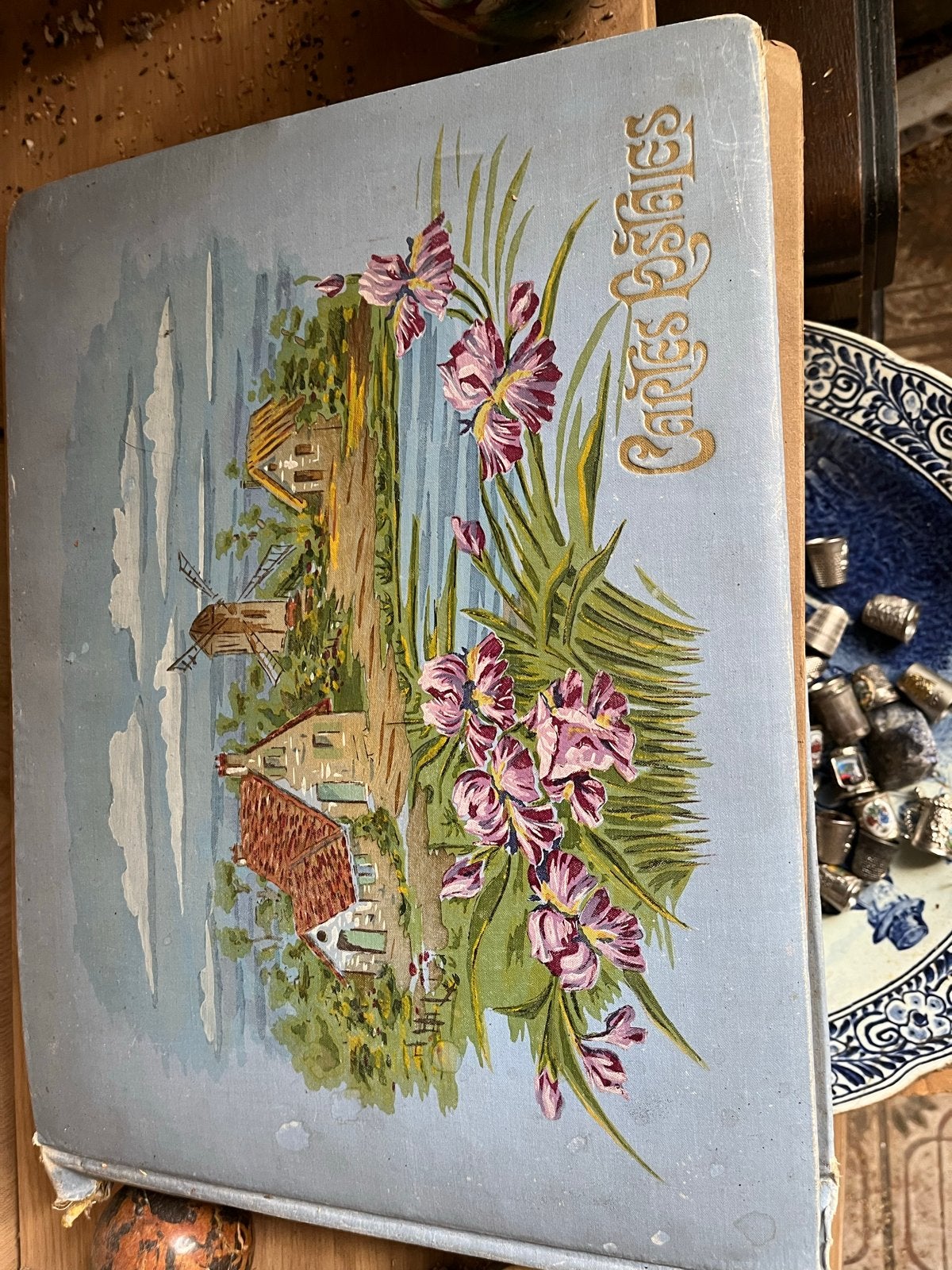 Antiek Ansichtkaarten Album - Vroege 20e Eeuw, Verzamelen, Ansichtkaarten | Nederland, Ophalen, Voor 1920, Gelopen, Zuid-Holland