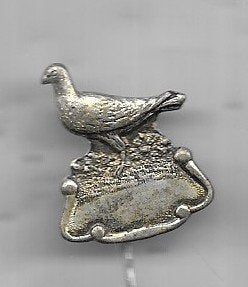 DUIF VOGEL DUIVEN GROTE UITVOERING SPELD, Verzamelen, Ophalen of Verzenden, Gebruikt, Dier of Natuur, Speldje of Pin