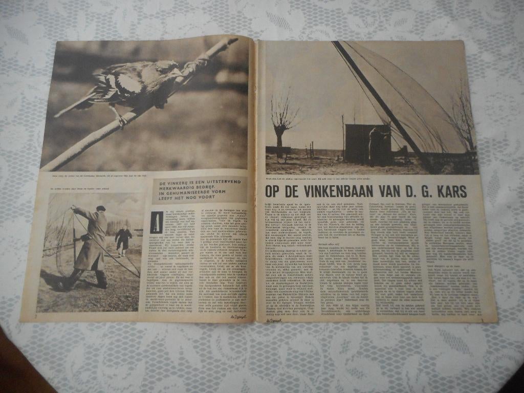 Vinkerij. Vinkenbaan van D.G. Kars. 1958., Ophalen of Verzenden, 1940 tot 1960, Nederland, Knipsel(s)
