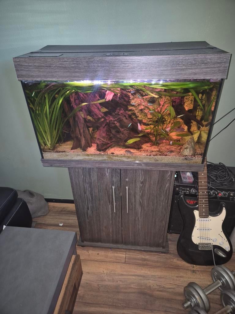 Te koop 80 cm aquarium compleet, Ophalen, Zo goed als nieuw, Gevuld zoetwateraquarium