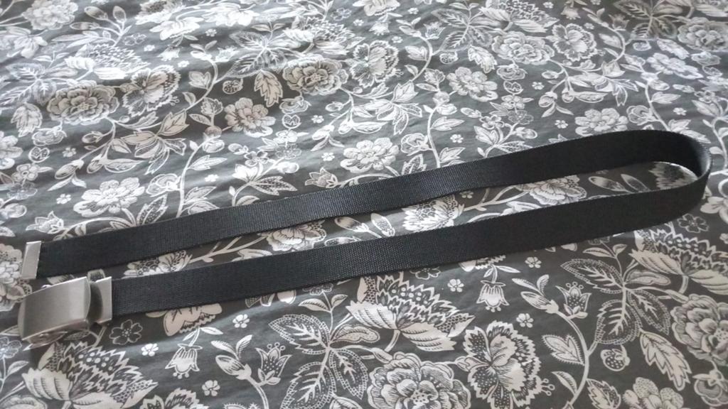 Zwarte stoffen riem met zilverkleurige gesp, Ophalen of Verzenden, Gedragen, Zwart