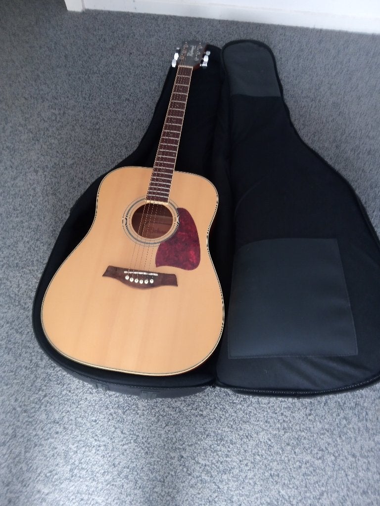 Richwood RD-16 gitaar met tas., Ophalen of Verzenden, Zo goed als nieuw, Western- of Steelstringgitaar