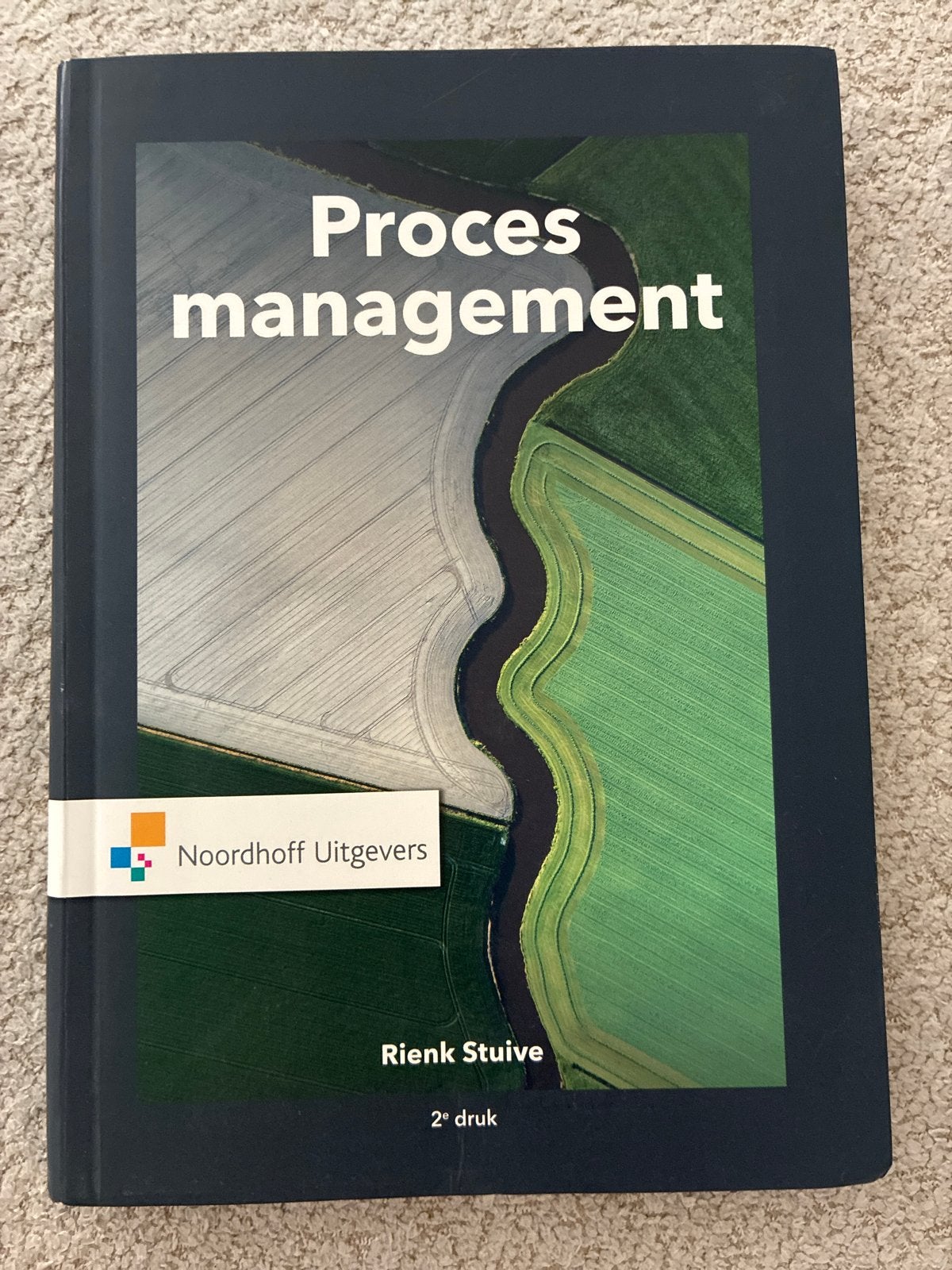 Procesmanagement - R. Stuive (2e druk), Boeken, Ophalen of Verzenden, Gamma, Zo goed als nieuw, HBO