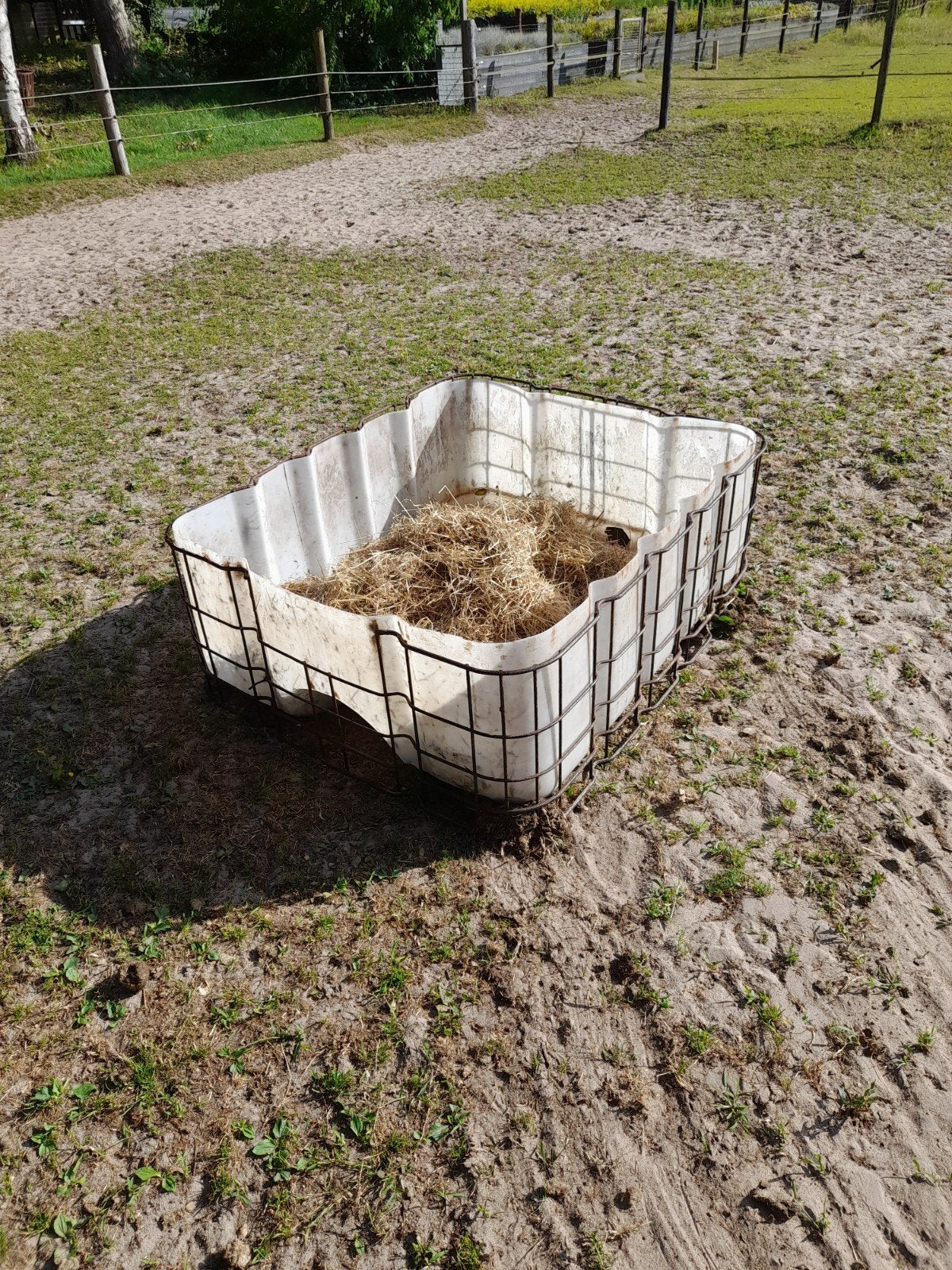 Slowfeeder, Dieren en Toebehoren, Ophalen