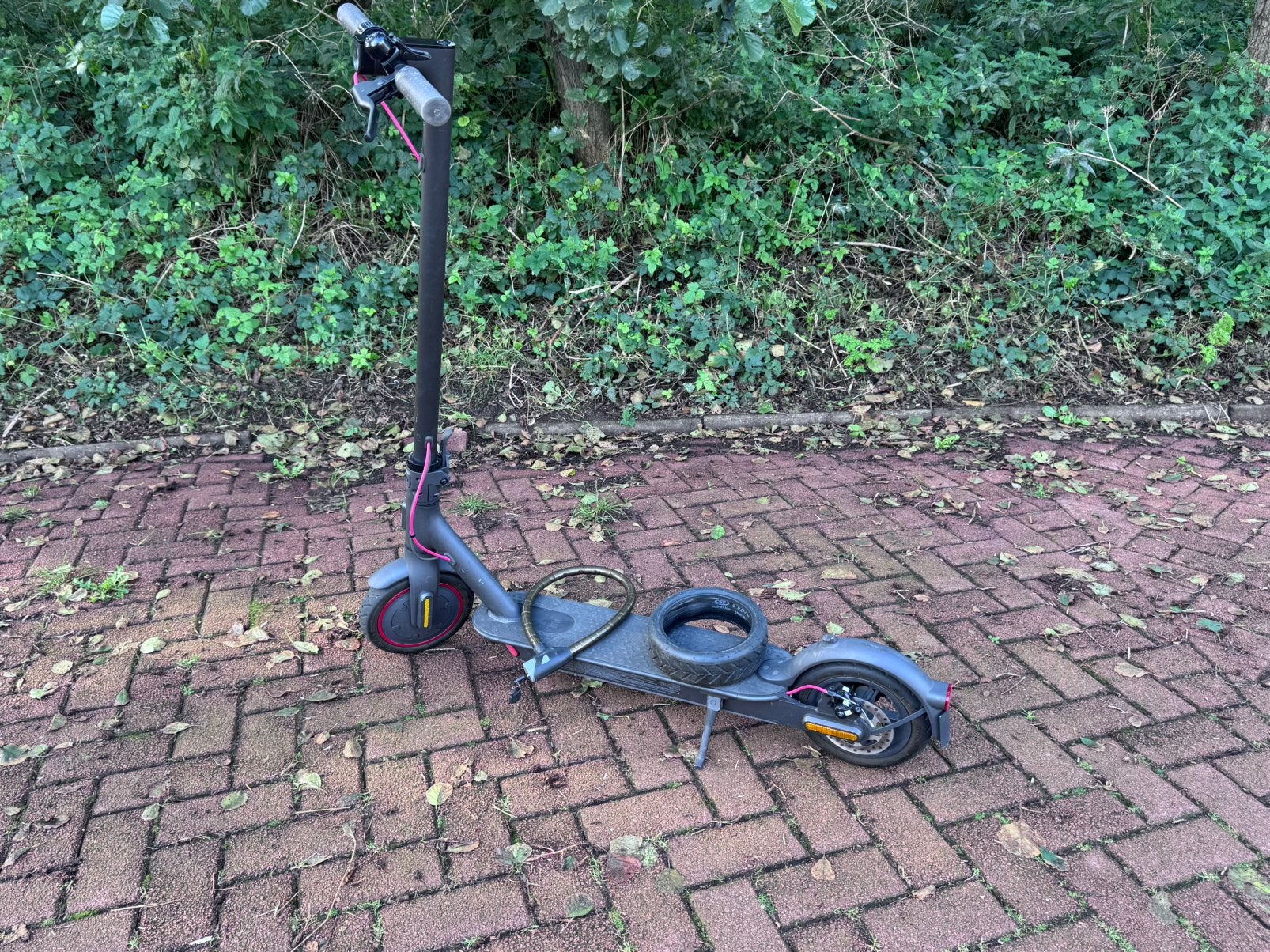 Foto 2 van mi electric scooter pro 2