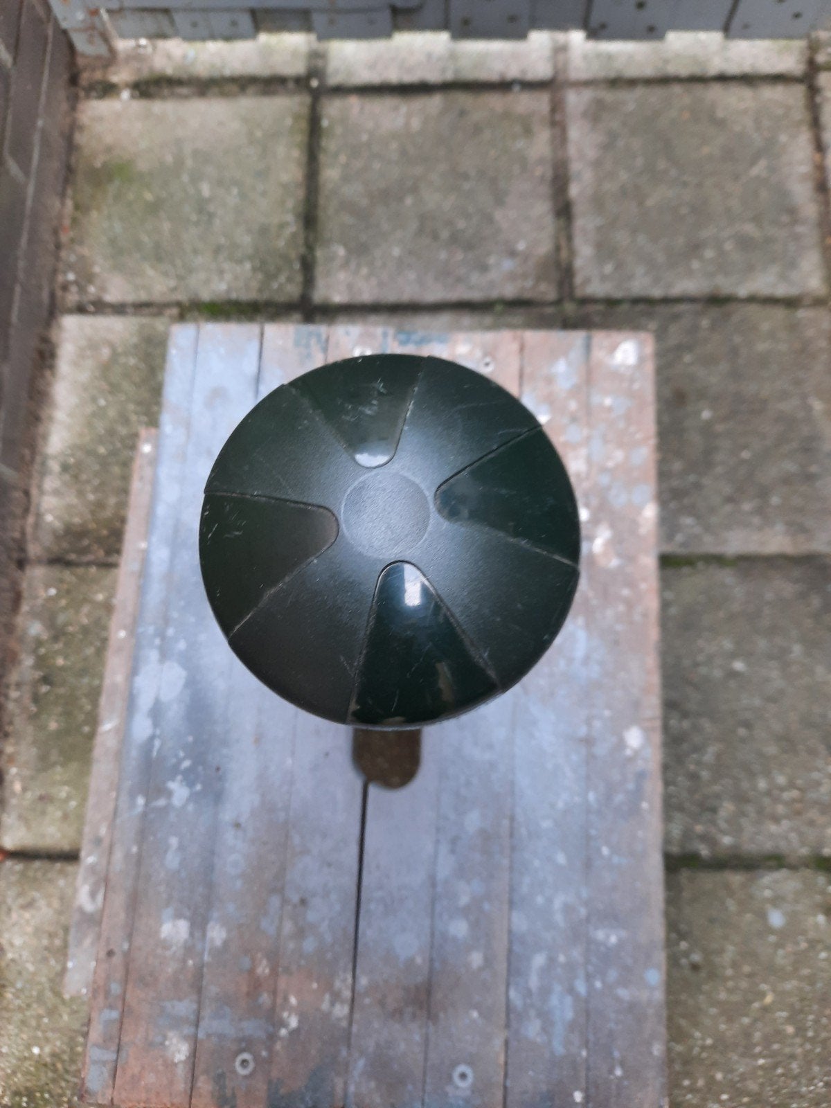 molen verjager, Overige soorten