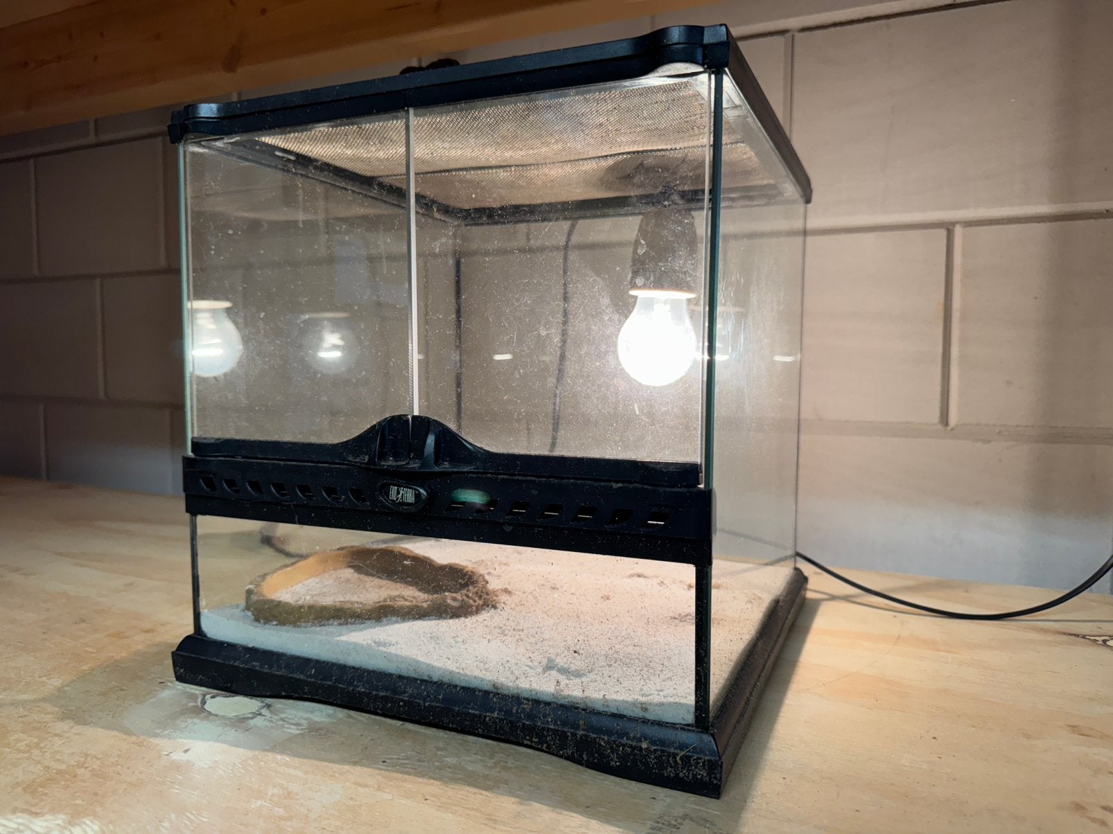 Klein praktisch terrarium voor de beginner of kweker, Ophalen, Gebruikt, Terrarium of Paludarium