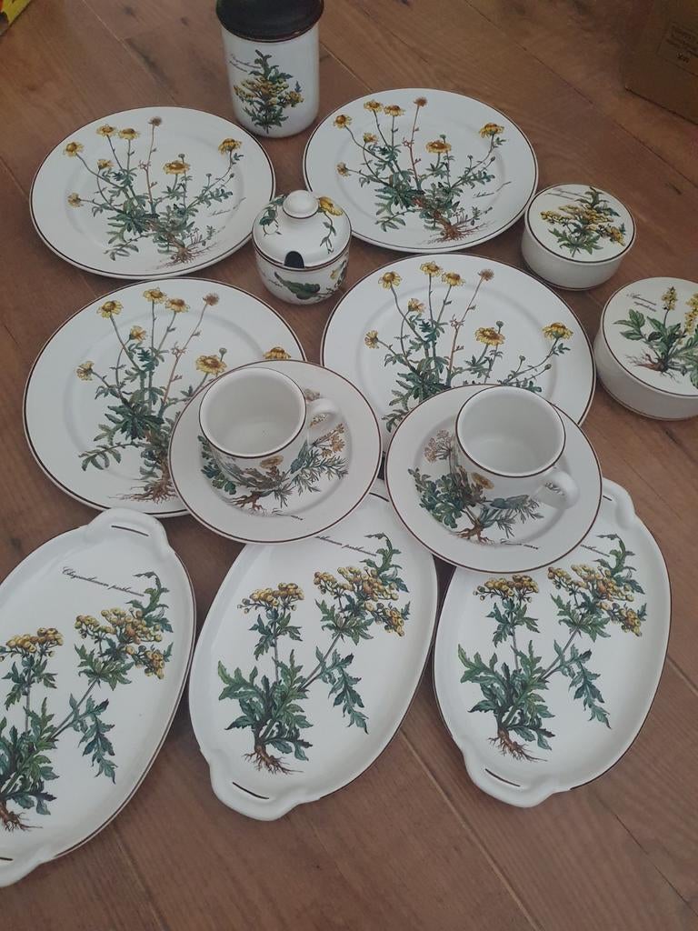 Villeroy & Boch Botanica servies niet gebruikt, Antiek en Kunst, Antiek | Servies compleet, Ophalen of Verzenden