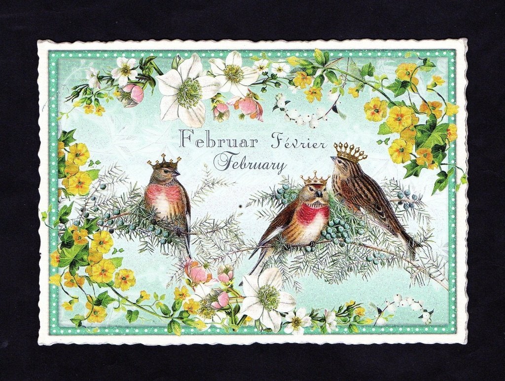 Maandkaart Februari Bloemen Heggemus, Sandra Behr., Ophalen of Verzenden, 1980 tot heden, Ongelopen, Vogel