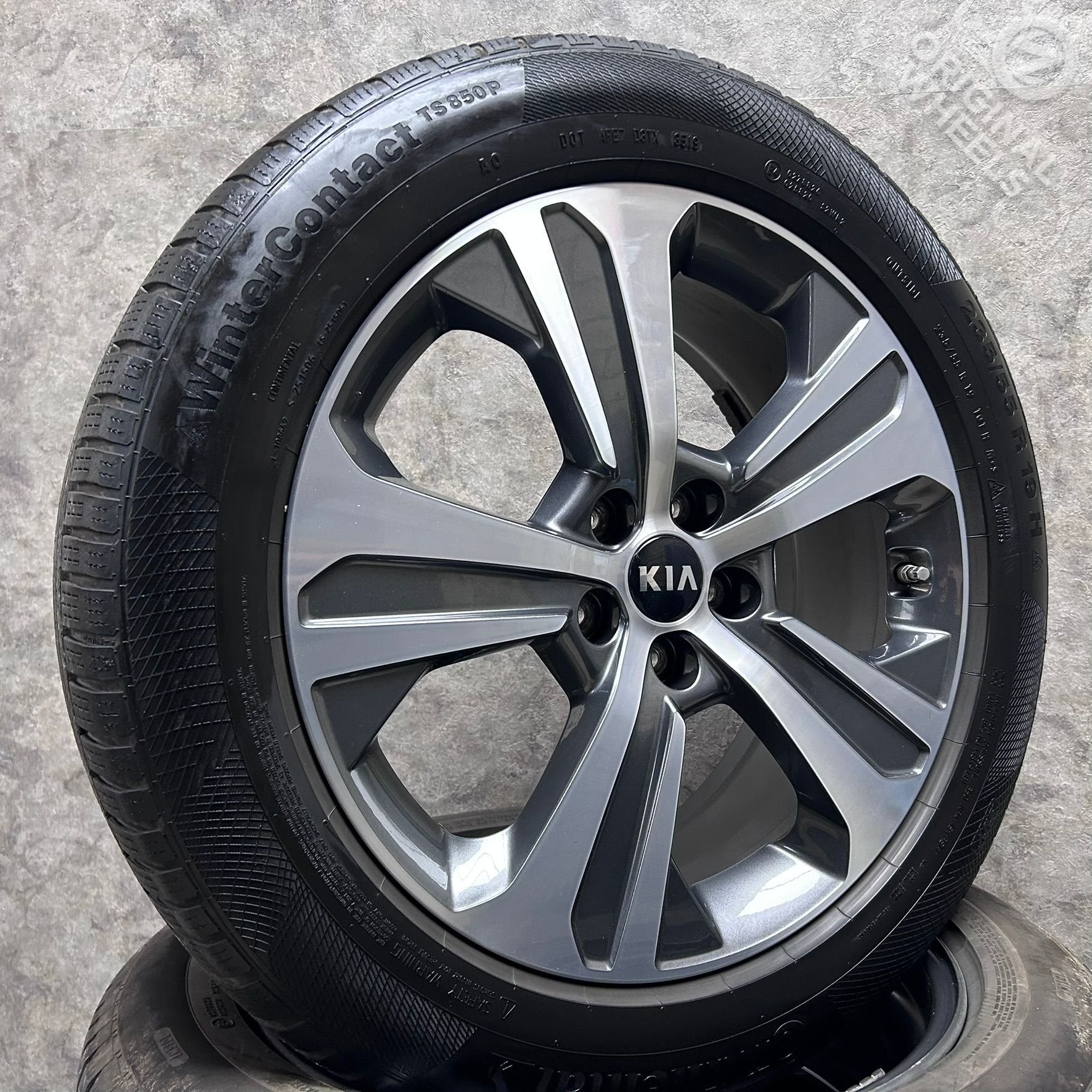 19 inch originele velgen + winterbanen Kia Sorento, 19 inch, Gebruikt, -, -
