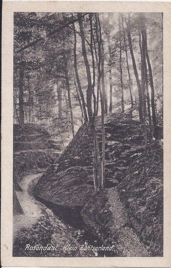 Rosendaal oude ongelopen ansichtkaart ( 7950, Ophalen of Verzenden, 1980 tot heden, Ongelopen