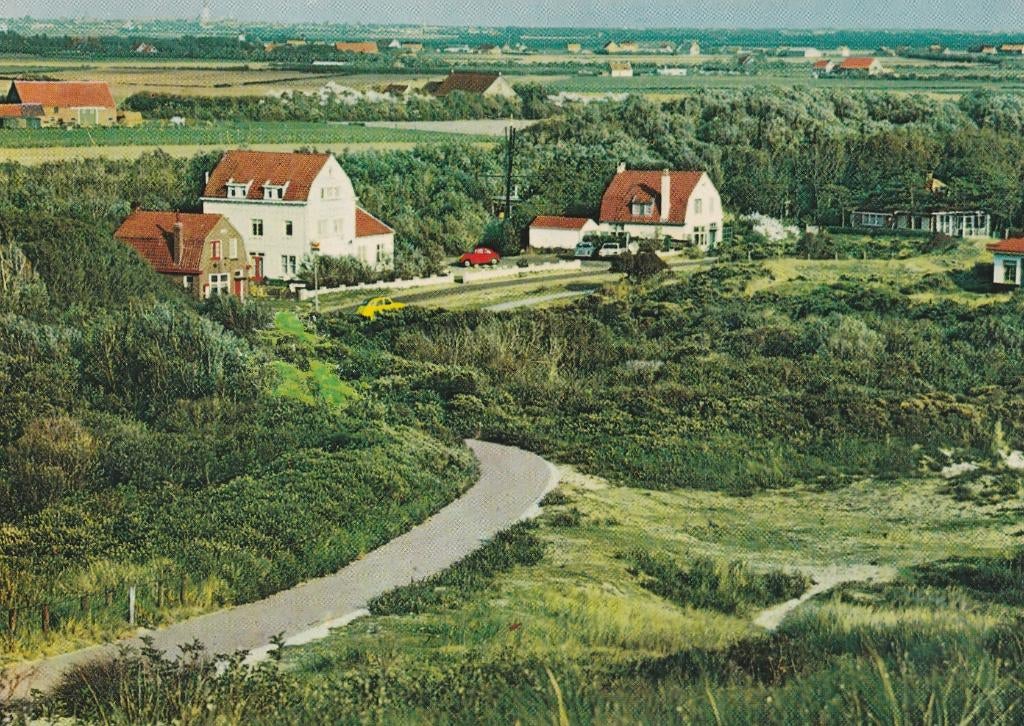 ZOUTELANDE Duinweg, Verzamelen, Ansichtkaarten | Nederland, Ongelopen, Zeeland, 1960 tot 1980, Verzenden