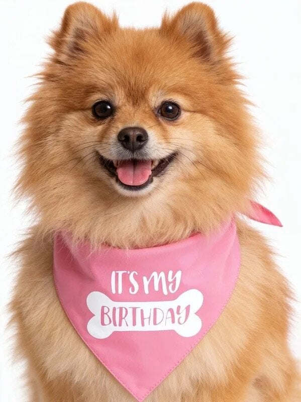 Honden bandana Big Sister met handige sluiting, Overige merken, Nieuw, Ophalen of Verzenden, Struikheide 64,3069lj,Rotterdam