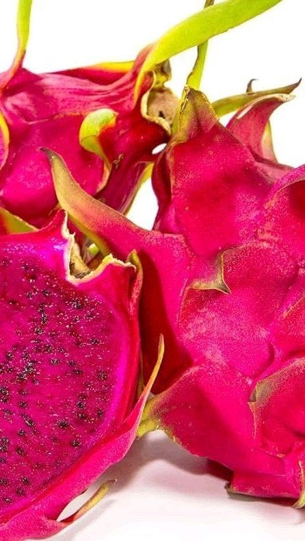 Zaden Hylocereus costaricensis (Drakenfruit 'rood'), Ophalen of Verzenden, Zaad