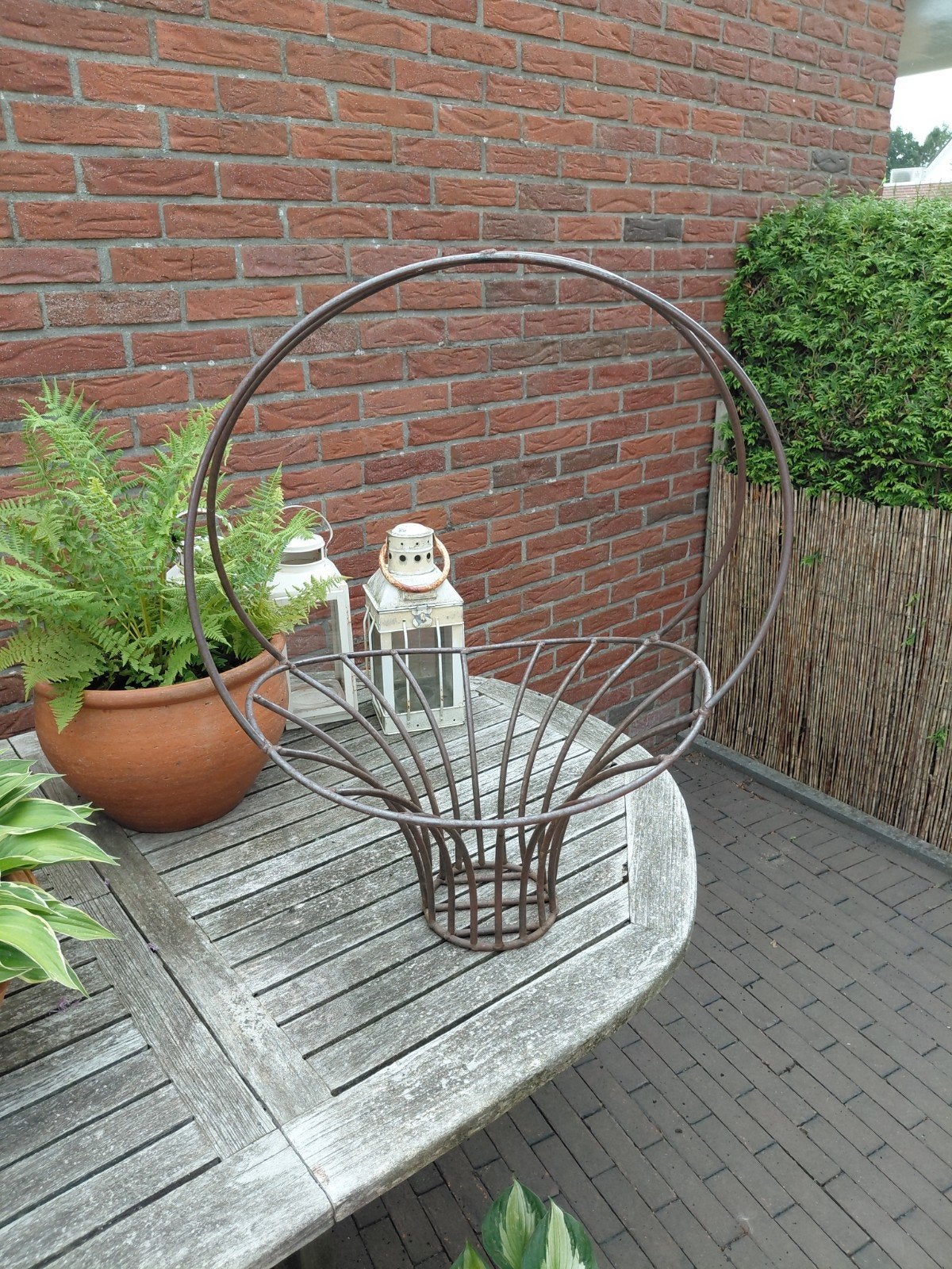 Planten standaard met hengstel, Ophalen, Overige soorten, 100 tot 250 cm