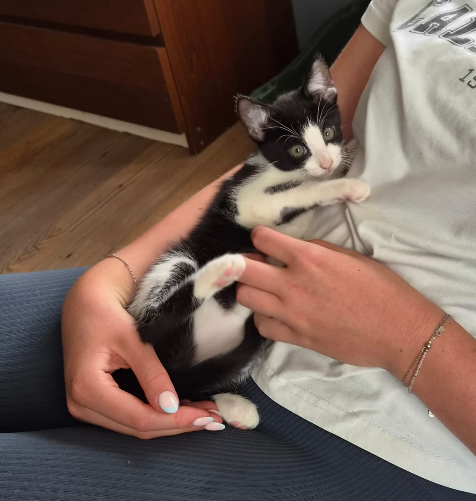 Nog 3 lieve katers, Dieren en Toebehoren, Katten en Kittens | Overige Katten, Meerdere dieren