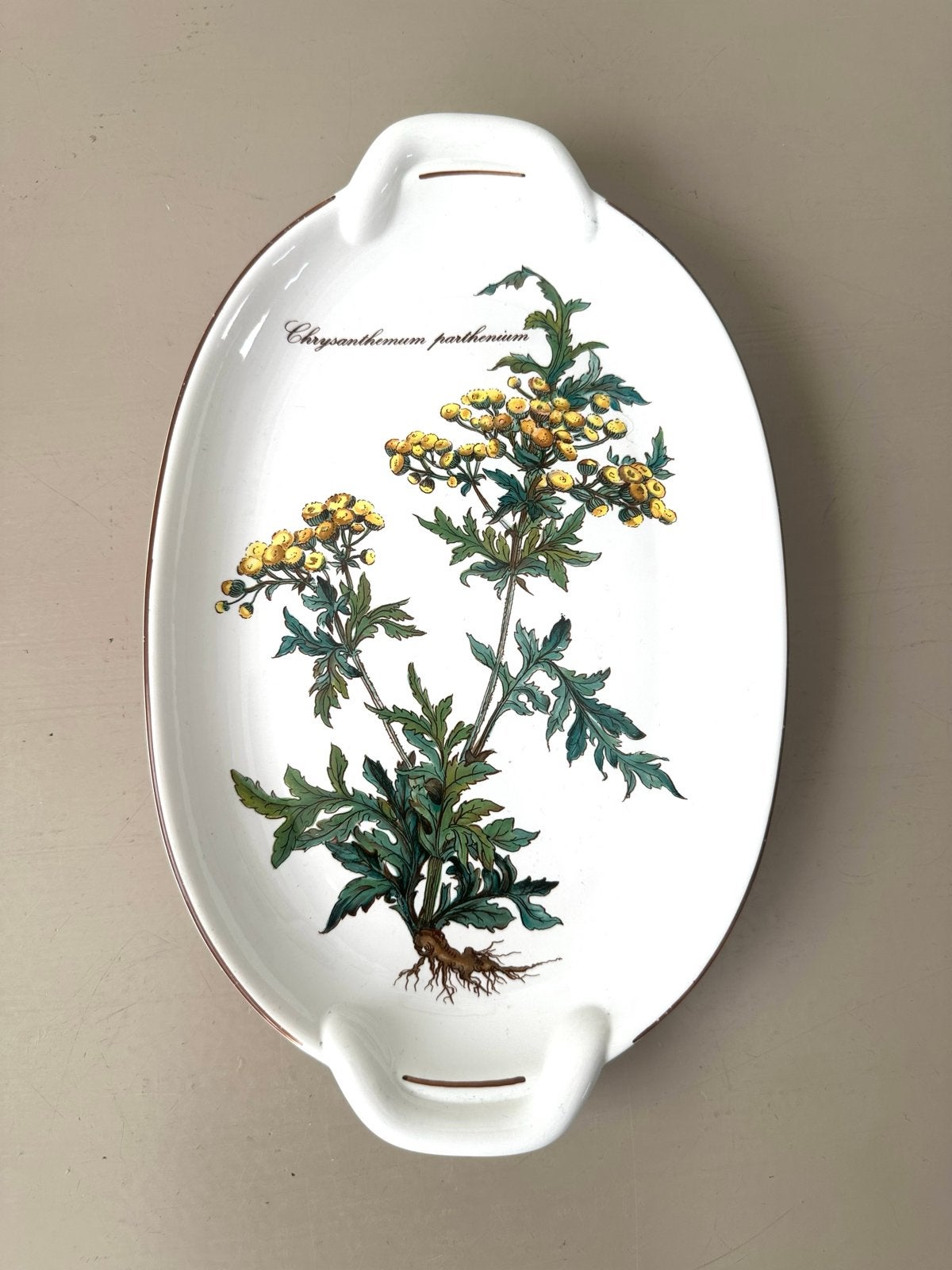 Vleesschaaltje Botanica Villeroy & Boch, Klassiek, Villeroy & Boch, Ophalen of Verzenden, Porselein