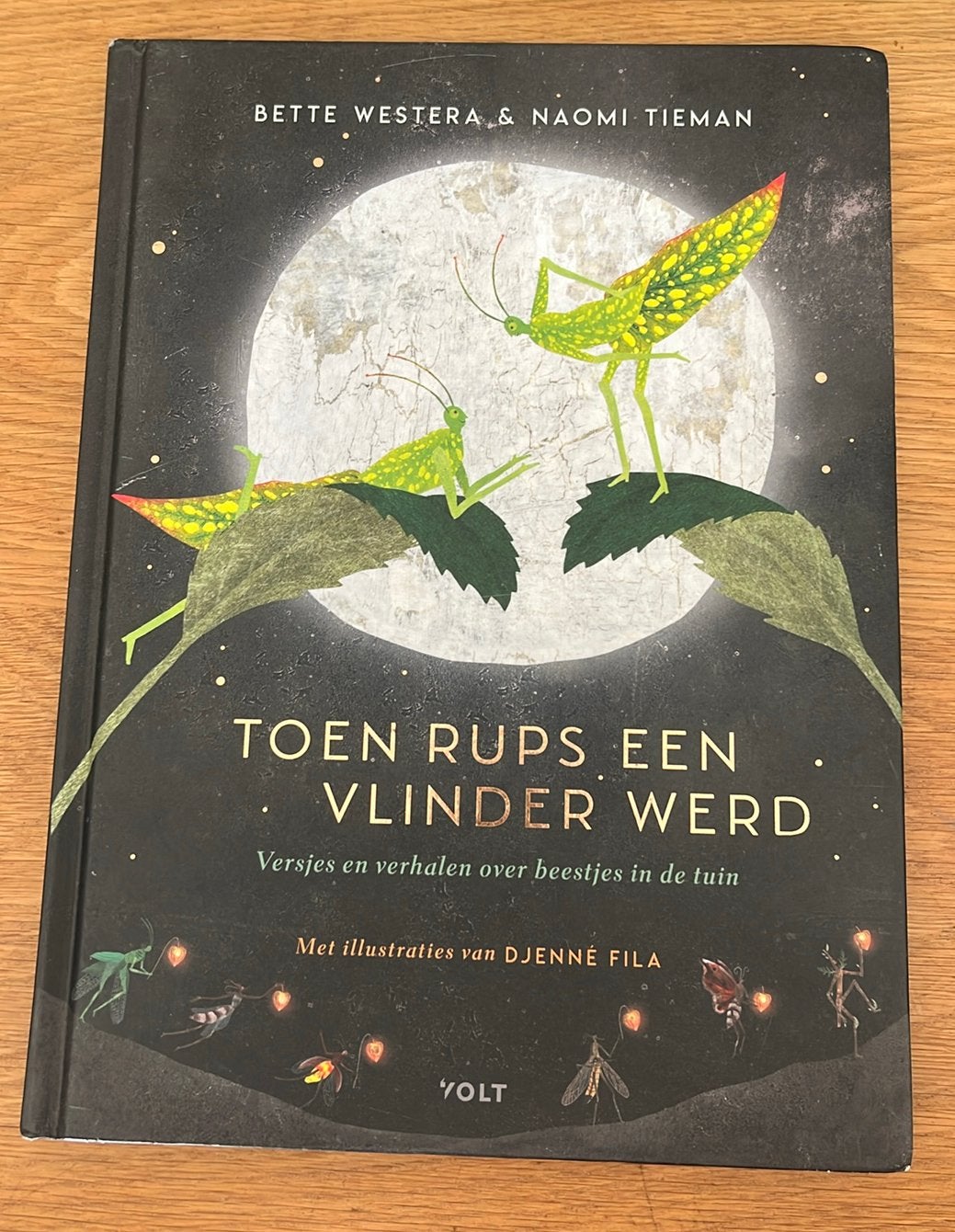 Toen Rups een vlinder werd van Bette Westera en Naomi Tieman, Ophalen of Verzenden, Gelezen, Bette Westera; Naomi Tieman, Prentenboek