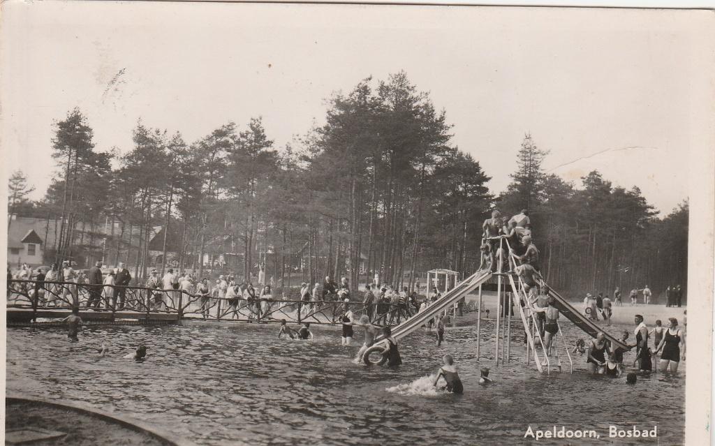 apeldoorn- bosbad, Ophalen of Verzenden, 1940 tot 1960, Gelderland