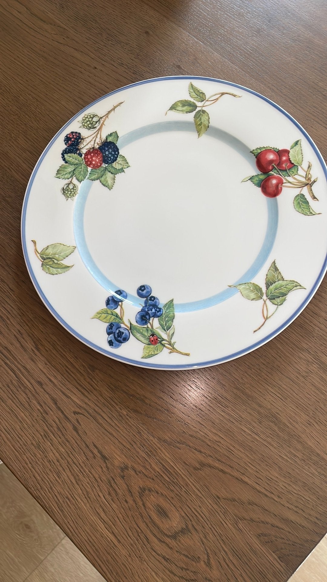 Dinerbord /bord van Villeroy & Boch, country collection, Verzenden, Villeroy & Boch, Bord(en), Overige stijlen